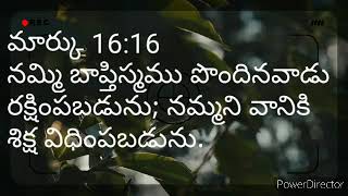 నమ్మి బాప్తిస్మము పొందినవాడు క్షింపబడును; నమ్మని వానికి శిక్ష విధింపబడును.