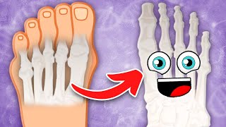 There Are 26 Bones In YOUR Foot! | The Human Foot Song | KLT Anatomy