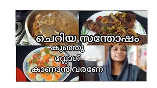 ചെറിയ ഒരു സൽക്കാരം പക്ഷെ സംഭവിച്ചത് ഇങ്ങനെ ആയി പോയി / Family vlog /Beegums vlog