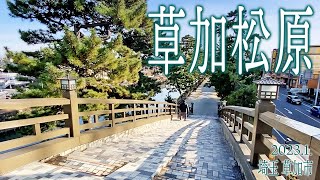 草加めぐり【草加松原】2023.1.埼玉県草加市