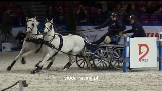 Adrian Kostrzewa - powożenie, konkurs nr 1, Cavaliada, Warszawa, 13.03.2015