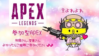 apex参加型　弱くてもOKな方　カジュアル＆ガンゲーム 2時間