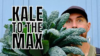 ESSENTIAL TIPS FOR GROWING THE BEST KALE