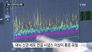 고통스런 만성 통증…대뇌 신경 이상이 유발 / YTN 사이언스