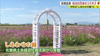 佐賀空港近くに約300万本のコスモス 県内外から多くの人 今年は“しあわせの鐘”も【佐賀県】 (22/10/21 18:50)