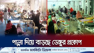 ডেঙ্গু নিয়ে চট্টগ্রামের হাসপাতালে ছুটছেন রোগীরা, শয্যা সংকট! | Chattogram | Dengue | Jamuna TV