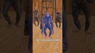 The Monkey and Ladder Experiment 🐒
