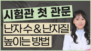 시험관 임신 준비! 난자채취 수 VS 난자질 무엇이 더 중요할까?