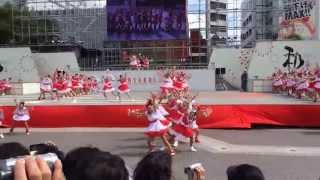 2014年 第61回よさこい サニーグループ踊り子隊SUNNYS