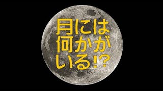 Disclosure File.37-44(5Min.) 実写！月には何かがいる！？月面を飛行するUFO！＜Disclosure File.216 ダイジェスト版！＞