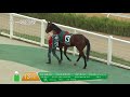 20180616 new zealand bloodstock 2yo stakes 1200m race 1 玉龙国际赛马公开赛d5 第1场 新西兰杯纯血马公司两岁马锦标赛 1200米