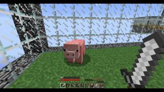 (廣東話) 死佬打機機 - Minecraft【Cube Survival】 #2  係我眼中你地只是一件豬扒