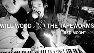 LIVE IN STUDIO  -  Will Wood and the Tapeworms - 