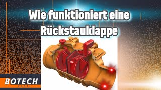 Rückstauklappe erklärt: So funktioniert sie ! | Einfach \u0026  verständlich Erklärt