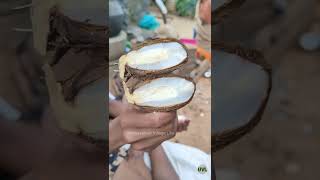 Palm Cake | Tamil traditional food | Thavun from palm tree | #Shorts | பனை தவுன் | UVL