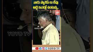 జగన్ ప్యాలెస్ ల పై చంద్రబాబు కామెంట్స్..Chandrababu On YS Jagan Palace | Shorts || YOYO TV Channel