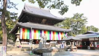 No 11「総本山善通寺」（長谷川忠司）　情報通信交流館賞