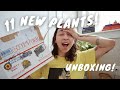 MEGA HOUSEPLANT UNBOXING | hoya varieties and a wishlist plant!