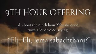 9th Hour Offering - Tehillah