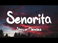 Senorita - Shawn Mendes (Lyrics) || David Kushner , Ava Max... (MixLyrics)