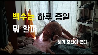 백수는 하루 종일 뭐 할까 / 백수의 하루 [인천대공원]