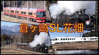 【倉ヶ崎SL花畑】東武鉄道C11-207「SL大樹」上り6号、スペーシアXほか通過！ Tobu-Railway Steam locomotive C11 'SL Taijyu'  2024.3.10