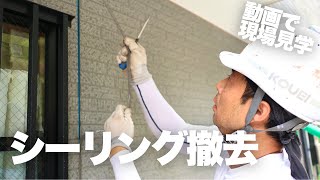 動画で現場見学｜シーリング撤去