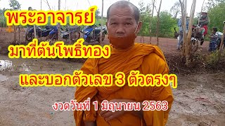 พระอาจารย์มาที่ต้นโพธิ์ทอง แล้วบอกตัวเลข3ตัวตรงงวดวันที่ 1 มิถุนายน 2563