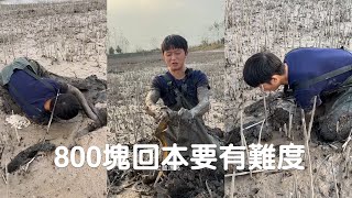 就看鱔魚的大小了，如果都太小這800塊回本就有難度了，來看看我的運氣會如何？#熱門#viralvideo #捕魚