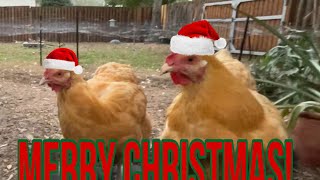 Merry Christmas everyone! Have a safe and happy holiday! 💜Blanche, 💚Rosie 💜E11