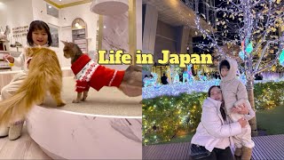 Daily Life Living in Japan | Visiting a cat cafe \u0026 spending the Holiday in Nagoya | Cat Cafe Mocha 🐈