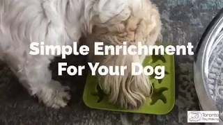 How to make a lick mat for your dog | Enrichment Games