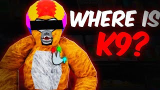 The Truth Behind K9's Disappearance...
