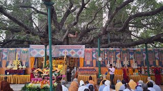 【夕勤 Evening Service (Nichiren Shu)】473回 法華経Lotus Sutra 一心寺分院Isshinji Temple in Bodhgaya, 30/11/2024】