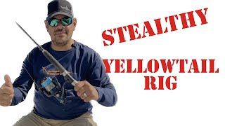 Unlocking the Secrets of the Yellowtail Rig