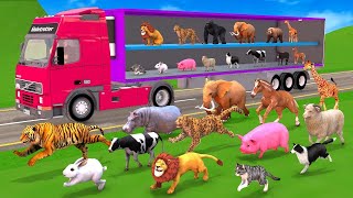 Learn Animals On Transporter Truck For Kids - Elephant, Cow, Gorilla, Wild animals, Farm Animals