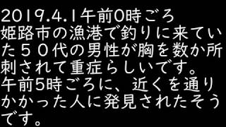 姫路の漁港で釣り人が刺されたそうです。