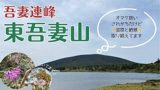 【吾妻連峰】福島市・東吾妻山 登山　ついでに登られがちな山の正体は…お花と湿原の山！