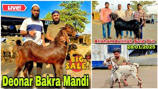 Deonar Bakra Mandi Latest Update Mangal Bazaar Acchi Saste Bakre Ka Lot Acchi Quality Ke Badi Bakre