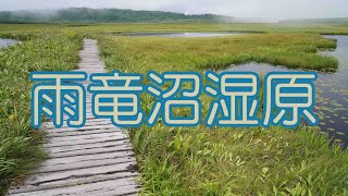 雨竜沼湿原　Uryunuma-shitsugen Marsh Trekking