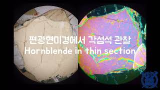 편광현미경 각섬석 관찰 Amphibolite in thin section (개방/직교니콜에서 조암광물 광학적 특징 characteristics in PPL/XPL)