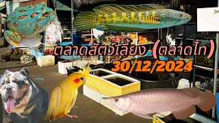 ตลาด​สัตว์เลี้ยง​(ตลาด​ไท)​30/12/2024​