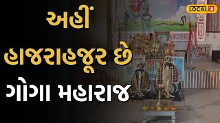 Dharm Bhakti News | અહીં હાજરાહજૂર છે ગોગા મહારાજ, ભક્તોને આપ્યા છે અનેક પરચા | Local18