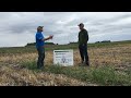 pioneer growing point agronomy cover crops in nc ia termination