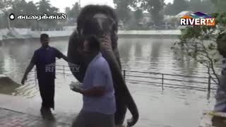 குதூகலிக்கும் கோவில் யானை... பரவசமடையும் பக்தர்கள்...