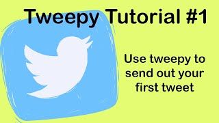 Twitter API: Setting up a Developer Account
