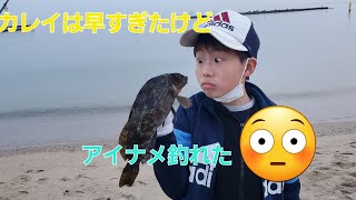 【須磨海岸】カレイの時期は早すぎた‼️