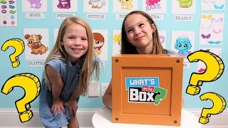 What's In the Box Challenge - XOXO Friends