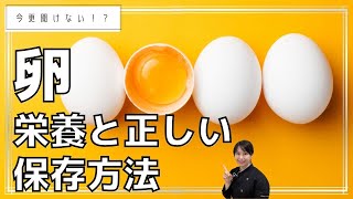 今更聞けない！？卵の基本知識〜栄養・保存方法・失敗しないゆで卵の作り方〜