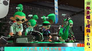 【スプラトゥーン2】ライブ配信No.8　インクの花火を咲かせ隊！